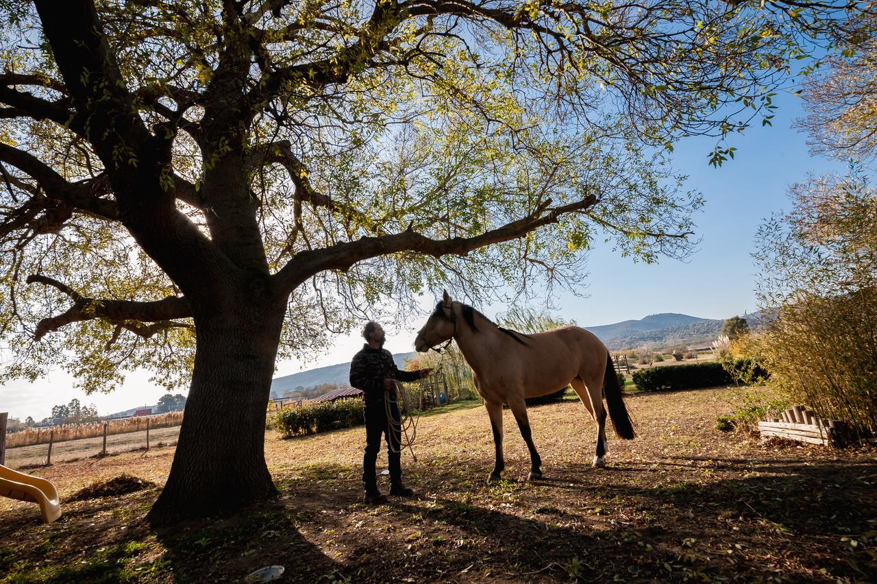 El Molino Agriturismo Fonteblanda Buitenkant foto